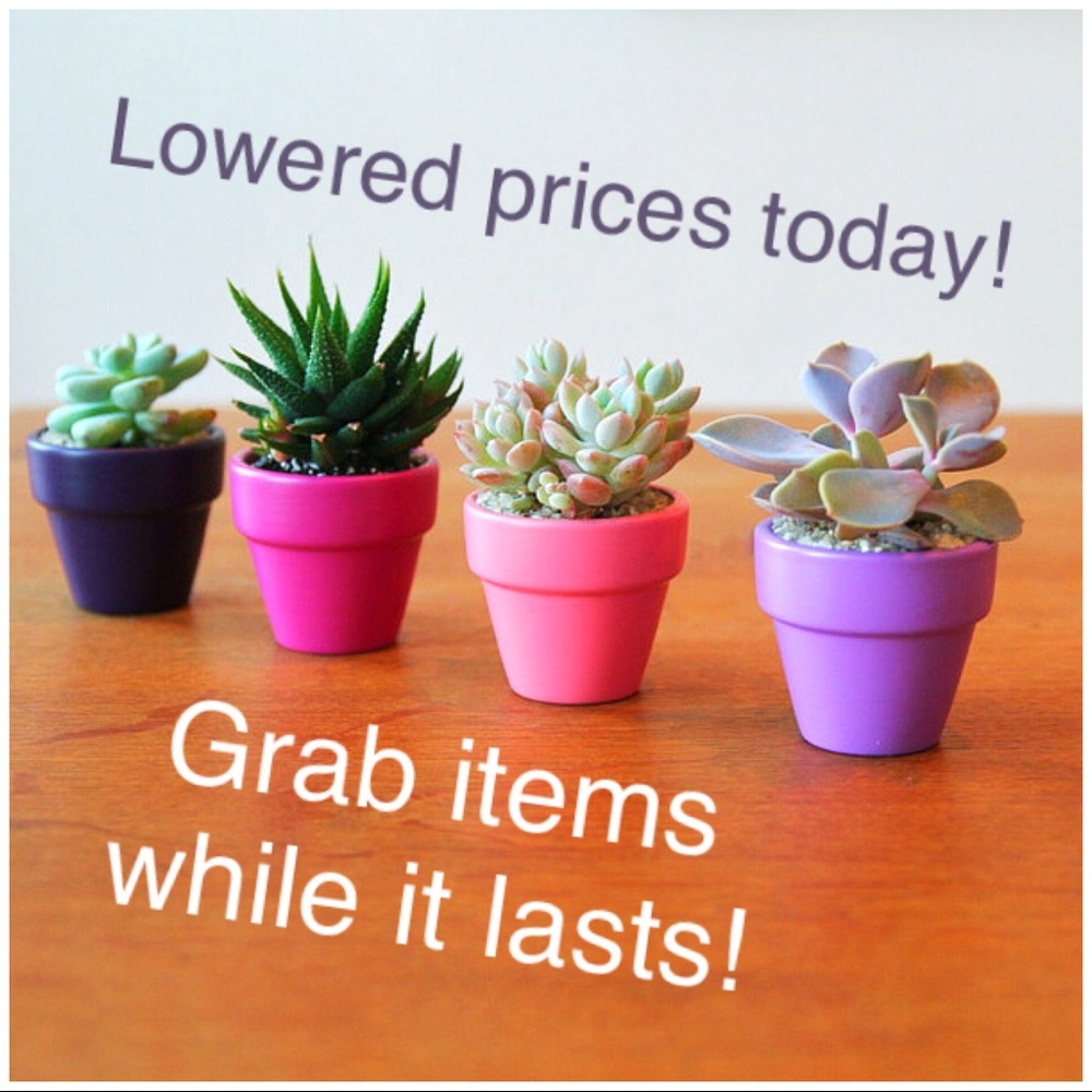 Price drop today 6/11 !!!